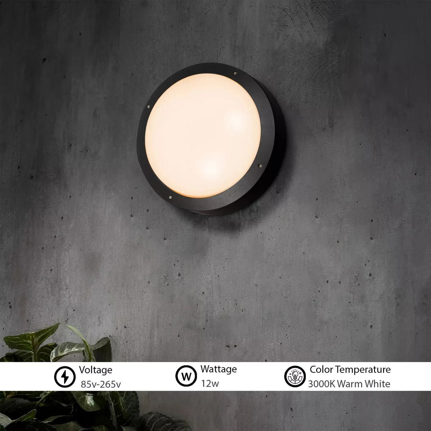 2 pack_LED Round Bulkhead wall ceiling light~3973