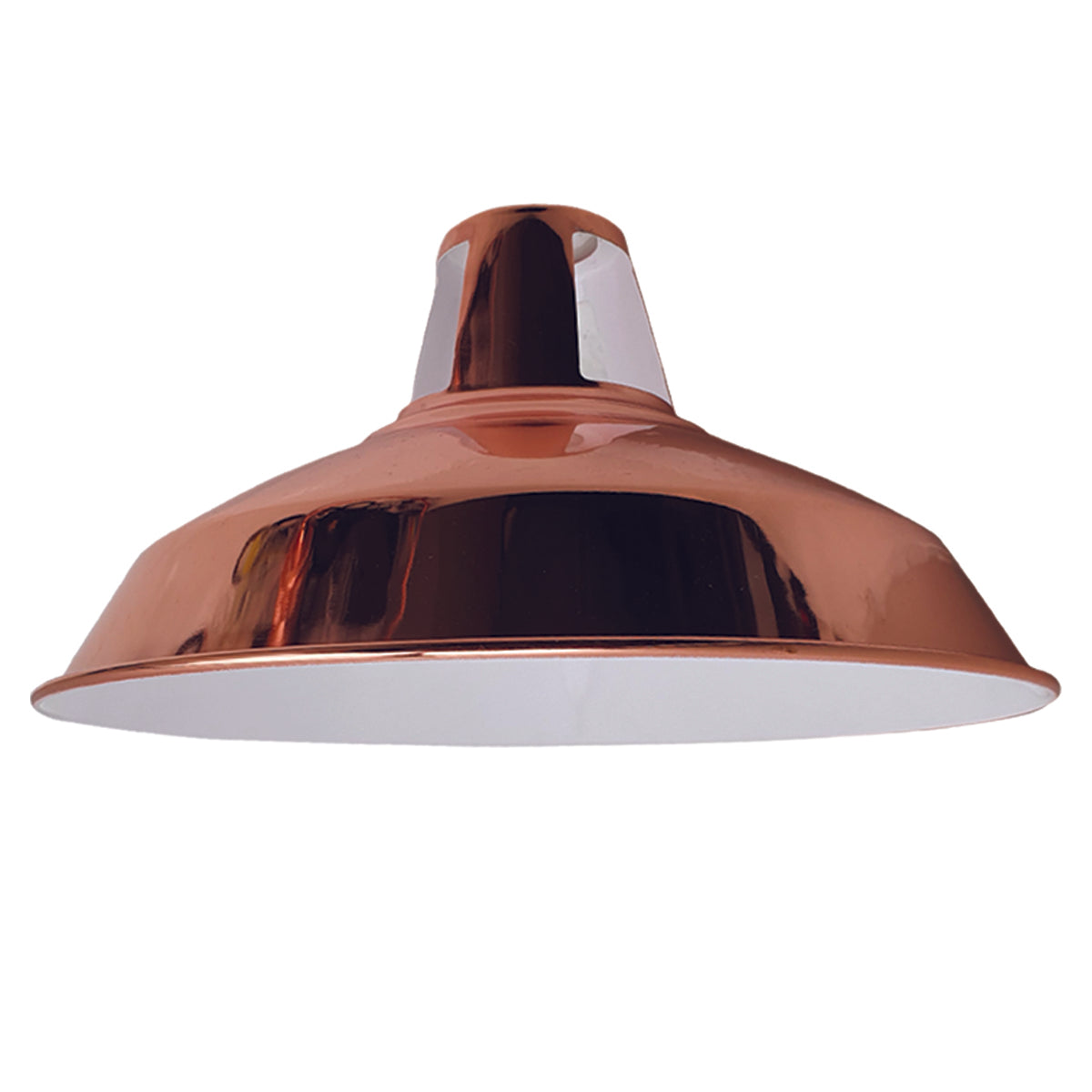 Modern Metal hanging Pendant light for living room ~2692
