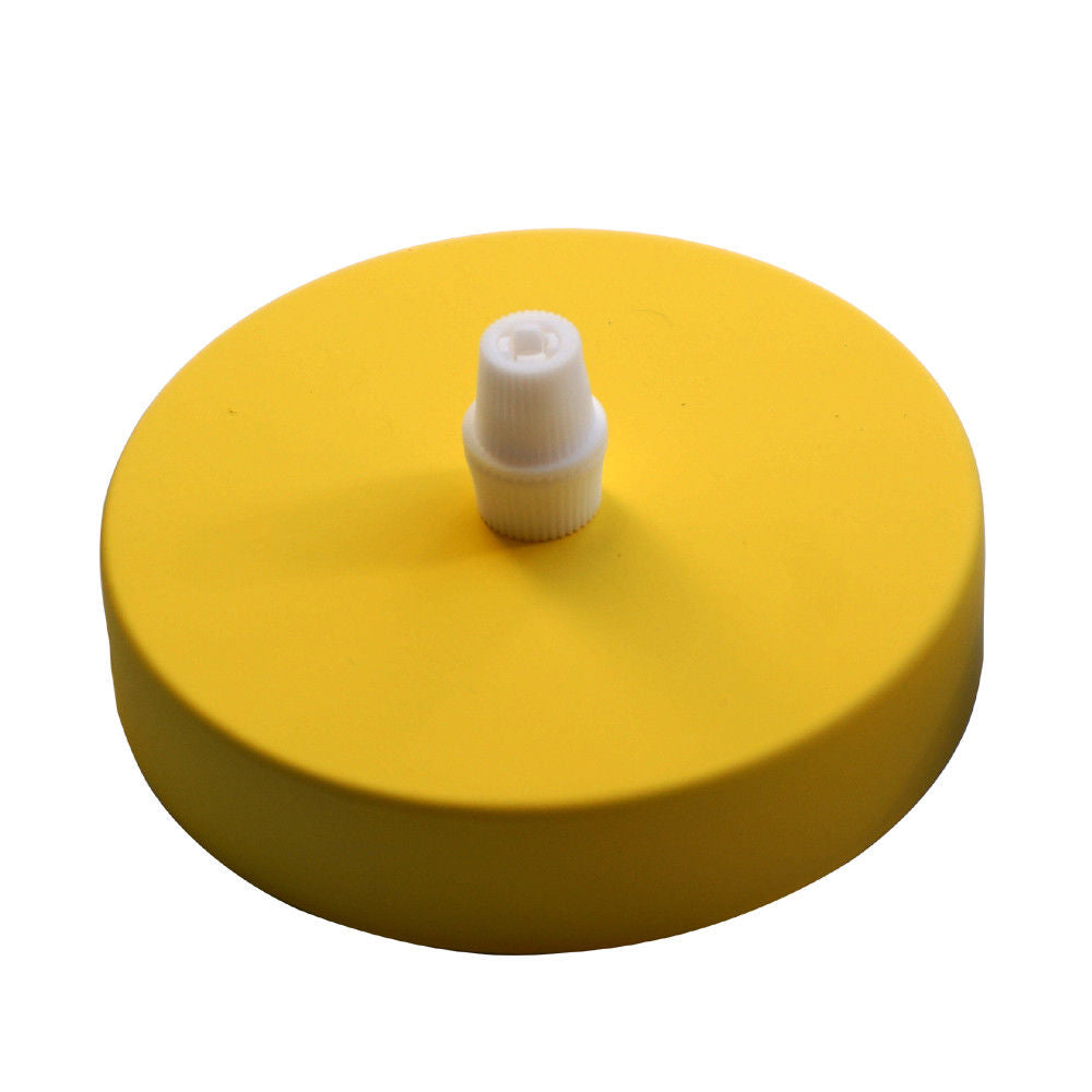 Yellow Ceiling Rose Light Fitting Vintage Pendant~3104