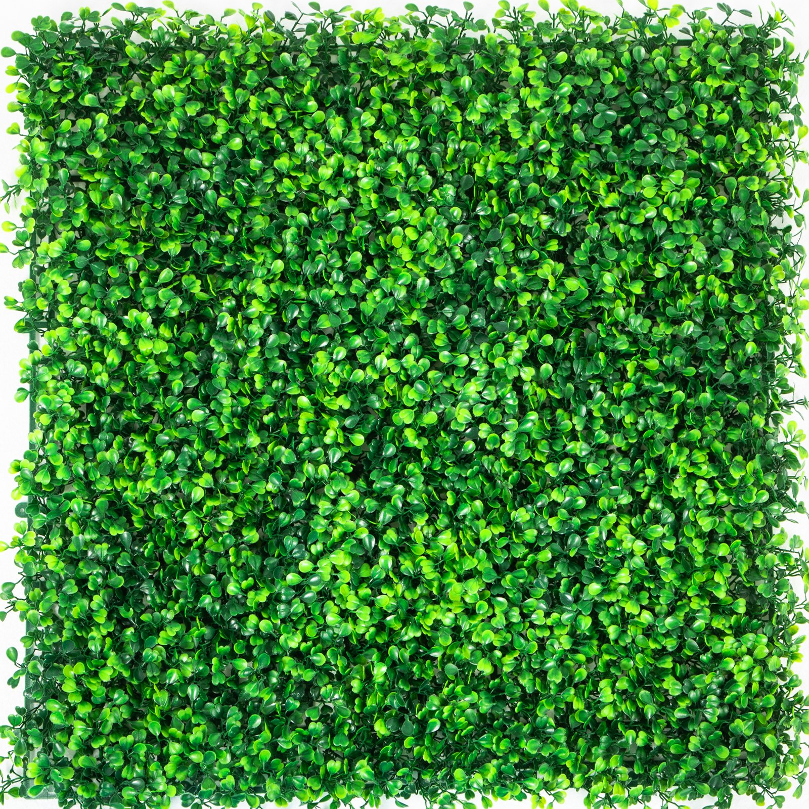 VEVOR Artificial Boxwood Panel UV 20" X 20" Boxwood Hedge Wall Panels, Artificial Grass Backdrop Wall 4 cm Green Grass Wall, Fake Hedge for Decor Privacy Fence Indoor, Outdoor Garden Backyard (12Pack)