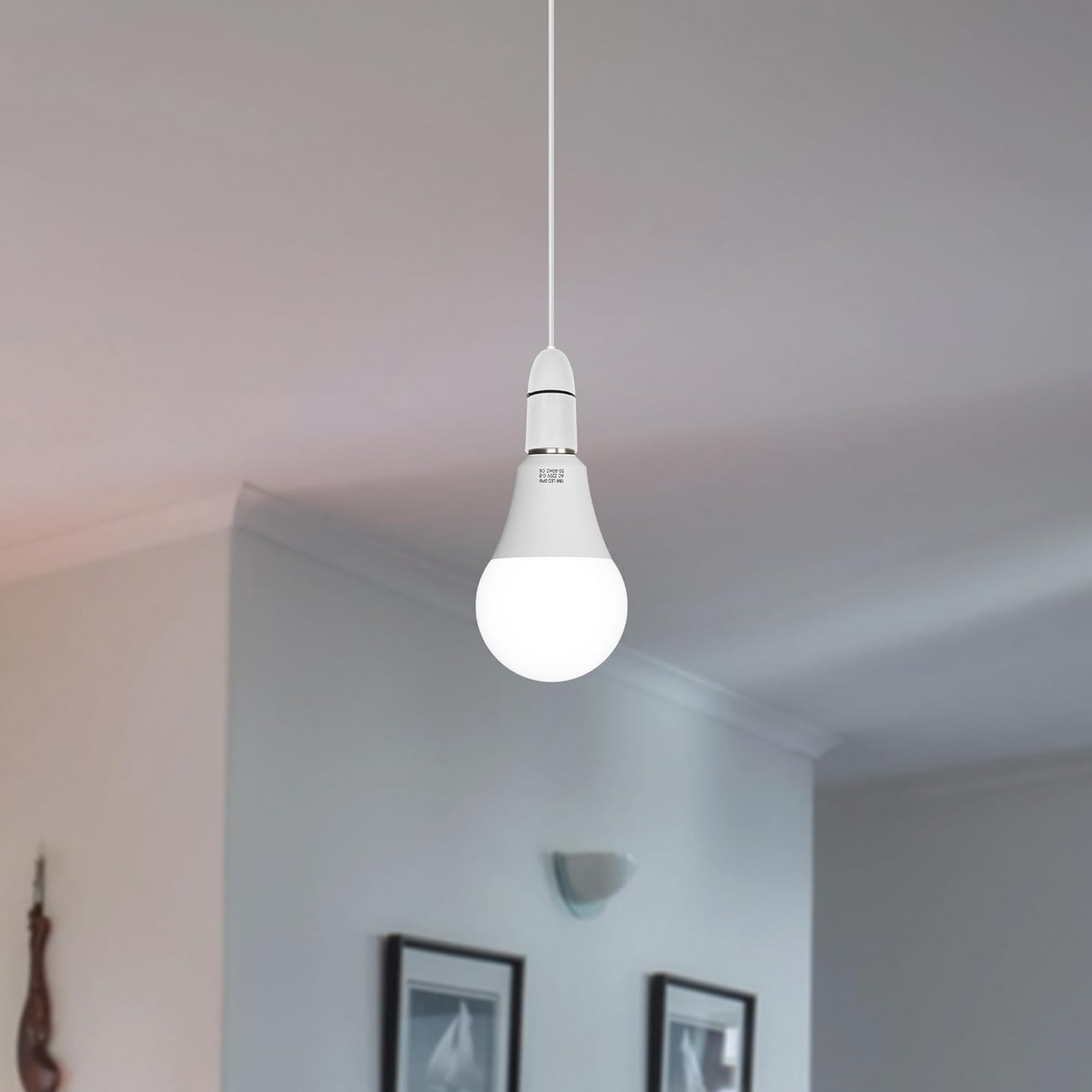 LED GLS Bayonet 18W Bulb A19 B22 Globe Energy Saving Warm White Light Bulb~1378