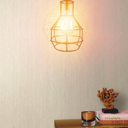 Industrial Lighting Ceiling and Wall Iron Pipe Cage Light ~1579