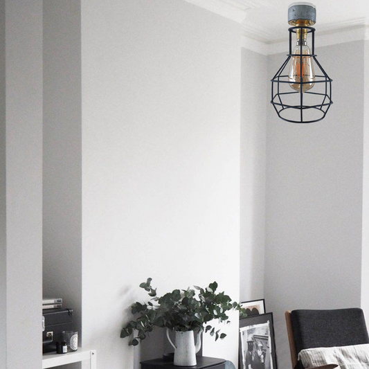 Industrial Lighting Ceiling and Wall Iron Pipe Cage Light ~1579